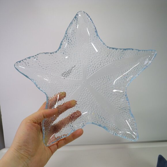 sea shells, acrylic sea turtle, TY Scoop pelican collection - Picture 9 of 13